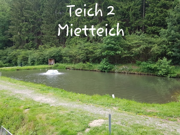 TEICHE UND PREISE Angelparadiessteinbachtal